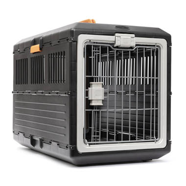 Collapsible hard 2024 plastic dog crate